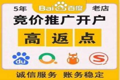 深度解析：SEM广告在竞争激烈市场中的生存之道